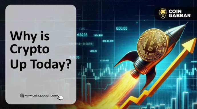 Why Is Crypto Going Up This Week, Will Crash?