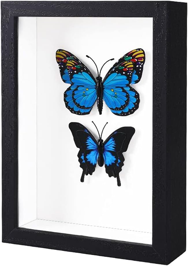 KAPIX Shadow Box 5×7 Picture Frame with Real Glass Deep Wood Memory Box Display case for Flowers,Ticket,Memorabilia,Keepsake,Medal,Art and Photos,Black