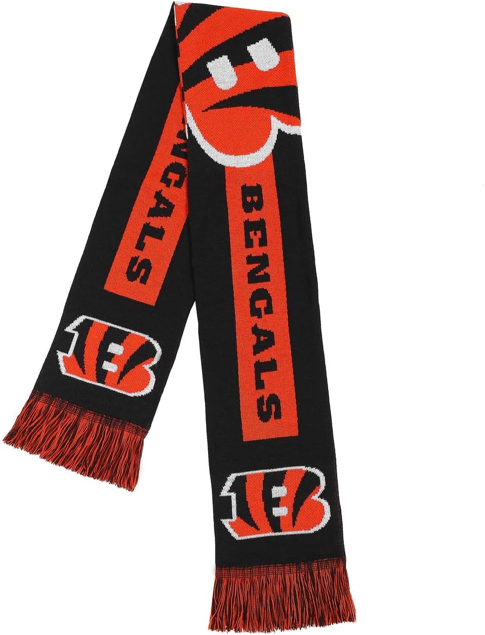 FOCO NFL (2016 Edition) Big Logo Scarf