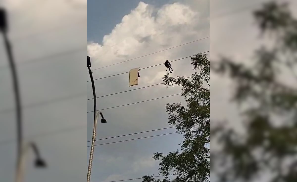 Man Takes Down Signboard Stuck On High-Tension Wire In Noida