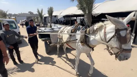 An Anera communal kitchen staff member guides a donkey pulling a cart laden with parcels of koshari to distribute to Palestinians in al-Mawasi, southern Gaza