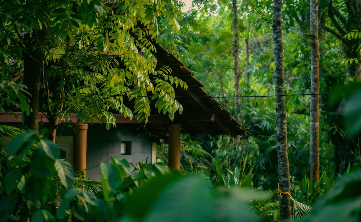 5 Cool Things To Do In Coorg For The Perfect Summer Vacation